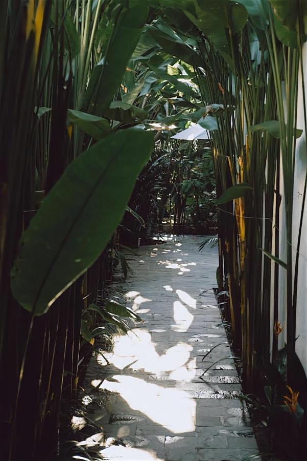 Tropical Home Villa Hoi An Dış mekan fotoğraf